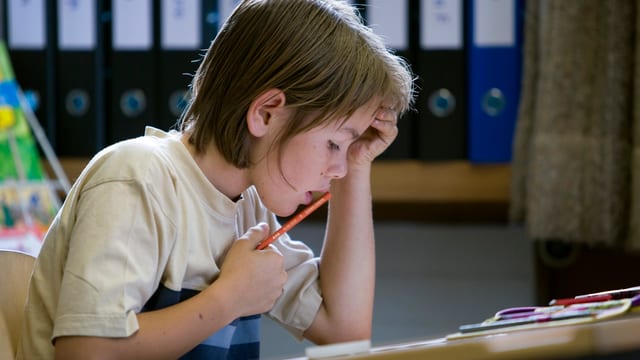 Viele Aargauer und Solothurner Schulkinder brüten demnächst über den neuen Leistungstests (Symbolbild). Viele Aargauer und Solothurner Schulkinder brüten demnächst über den neuen Leistungstests (Symbolbild).