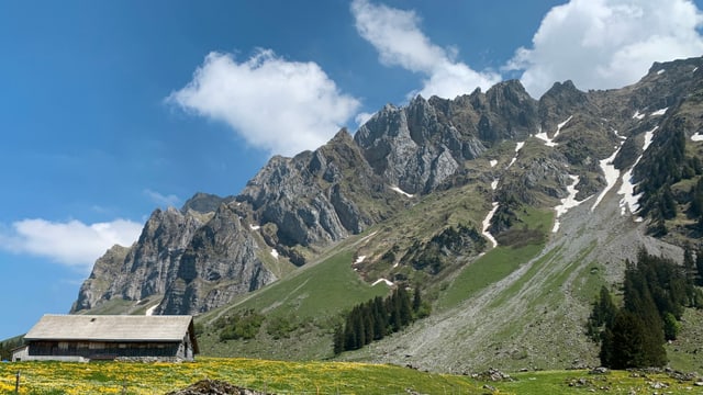 Ein Bauernhaus, eine Blumenwiese und ein Gebirge: alles bei strahlend schönem Sommerwetter. Ein Bauernhaus, eine Blumenwiese und ein Gebirge: alles bei strahlend schönem Sommerwetter.