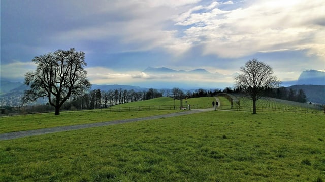 Am Samstagmorgen war die Rigi mit mystischen Wolken umgeben. Am Samstagmorgen war die Rigi mit mystischen Wolken umgeben.