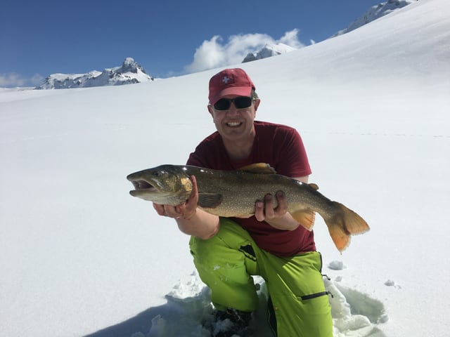 Daniel Kilian hält einen grossen Namaycush in den Händen. Er ist auf dem Melchsee, der gefroren und schneebedeckt ist. Daniel Kilian hält einen grossen Namaycush in den Händen. Er ist auf dem Melchsee, der gefroren und schneebedeckt ist.