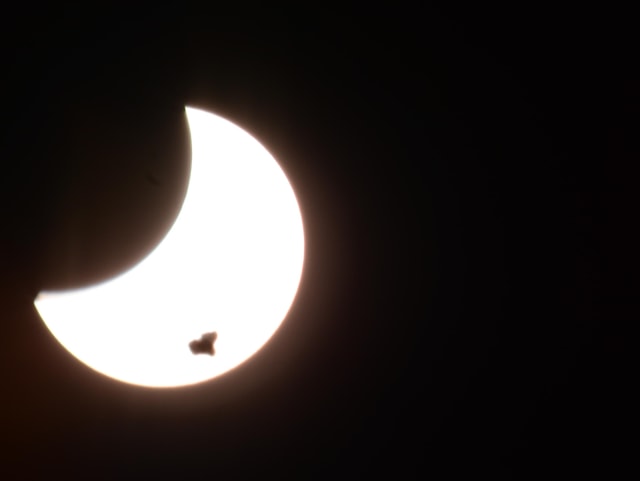 Vor der Sonnensichel fliegt ein Vogel