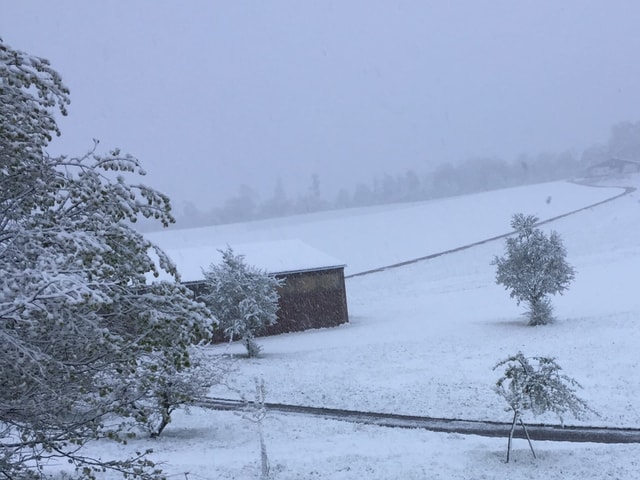 Verschneite Landschaft