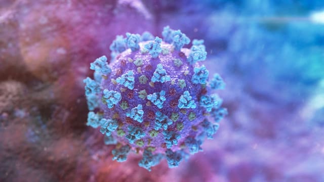 Coronavirus-Erreger Coronavirus-Erreger