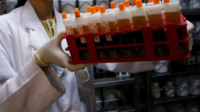 Ampullen mit Blut in einem Labor. Ampullen mit Blut in einem Labor.
