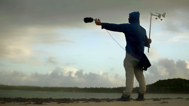 Ein Mann steht am Strand und hält ein Mikrofon richtung Meer. Ein Mann steht am Strand und hält ein Mikrofon richtung Meer.