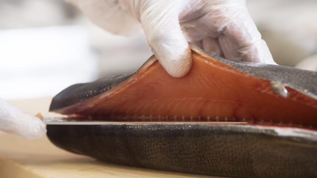 Fisch Fisch