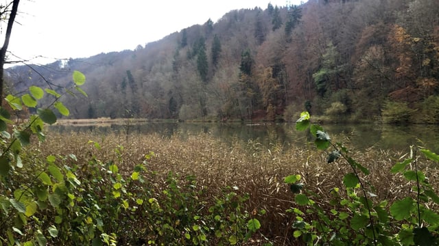 Der Egelsee liegt an der Ostflanke des Heitersbergs zwischen Bergdietikon und Spreitenbach. Der Egelsee liegt an der Ostflanke des Heitersbergs zwischen Bergdietikon und Spreitenbach.