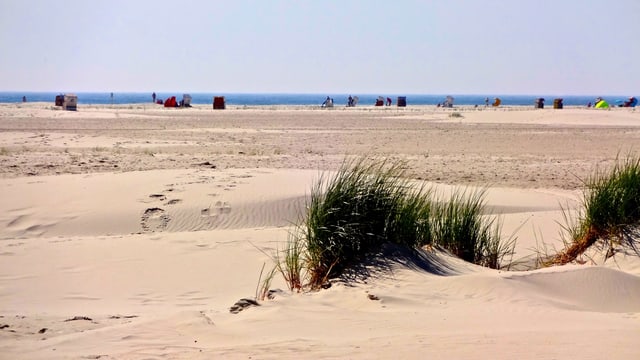Blick über den Sanstrand in Amrum Blick über den Sanstrand in Amrum