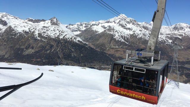 pendiculara Corvatsch pendiculara Corvatsch