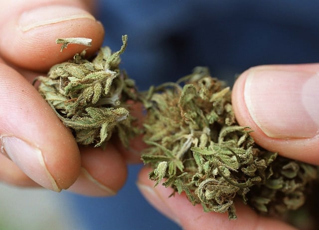 Finger und Cannabis Finger und Cannabis