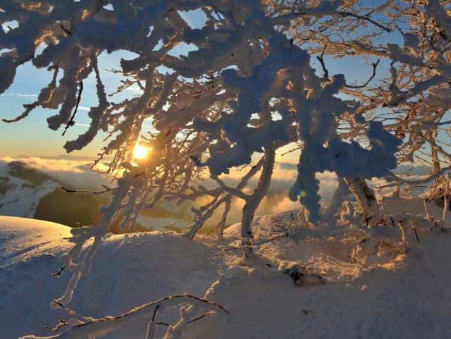 Nach einer klaren Nacht war es am Montagmorgen extrem kalt auf dem Passwang mit schönem Pulverschnee.