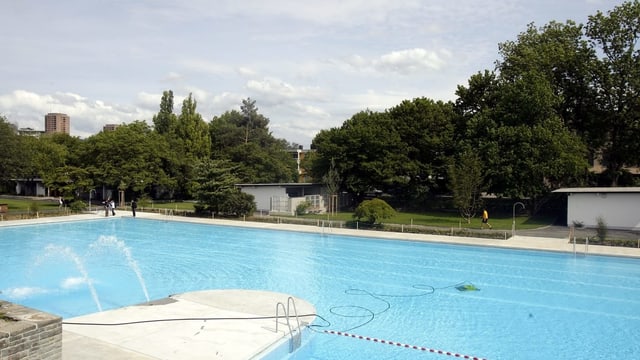 Ein leeres Schwimmbecken, dahinter Bäume und Büsche. Ein leeres Schwimmbecken, dahinter Bäume und Büsche.