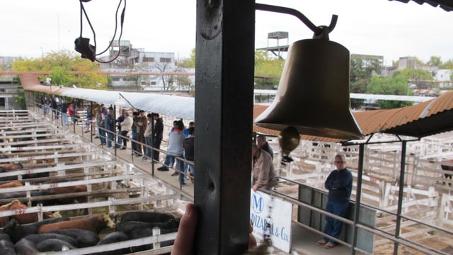 Glocke Glocke