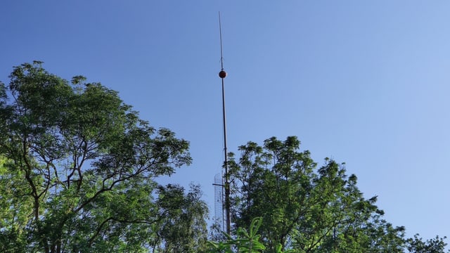 Schmaler Turm zwischen Bäumen Schmaler Turm zwischen Bäumen