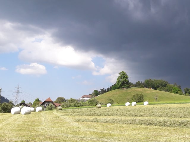 Dunkle Wolke, davor Wiese mit Heu und Siloballen.