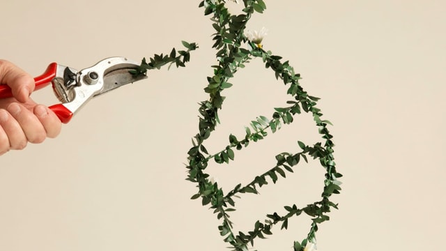 Heckenschere an DNA-Strang Heckenschere an DNA-Strang
