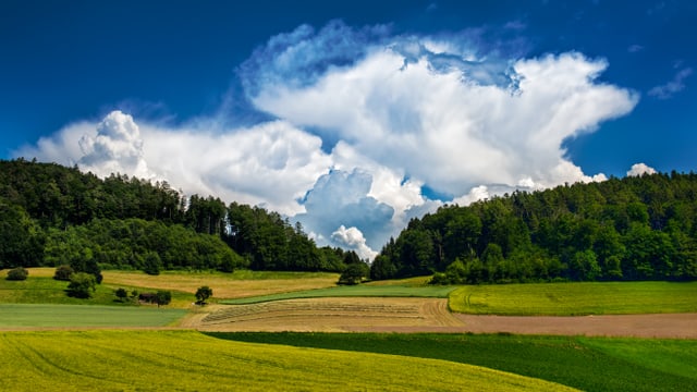 Quellwolken vor blauem Himmel