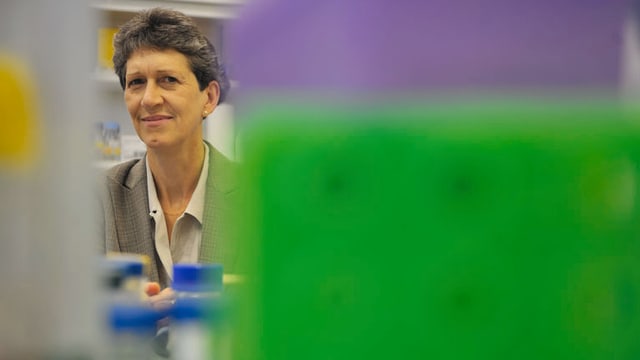 Video «Am Schalter der Gene - (15) Susan Gasser, Genetikerin (alt)» abspielen Video «Am Schalter der Gene - (15) Susan Gasser, Genetikerin (alt)» abspielen
