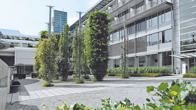 Aufnahme der Klinik von aussen, es ist ein Glas-Stahl-Gebäude. Auf dem Vorplatz stehen mehrere Bäume. Aufnahme der Klinik von aussen, es ist ein Glas-Stahl-Gebäude. Auf dem Vorplatz stehen mehrere Bäume.