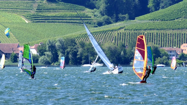 Surfer hart am Wind auf dem Murtensee. Surfer hart am Wind auf dem Murtensee.