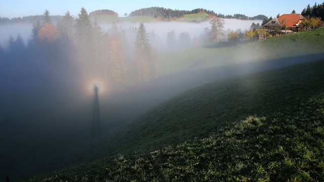 Blick auf eine Nebelschicht. An deren Obergrenze ist auch ein Brockengespenst zu sehen. Blick auf eine Nebelschicht. An deren Obergrenze ist auch ein Brockengespenst zu sehen.