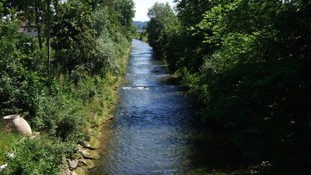 Flussbett Flussbett