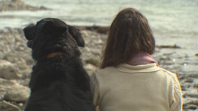 Frau und Hund von hinten, am See sitzend Frau und Hund von hinten, am See sitzend