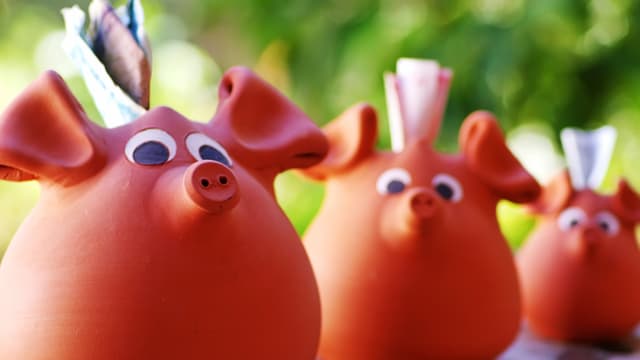 Drei süsse Sparschweinchen, in denen Geldscheine stecken