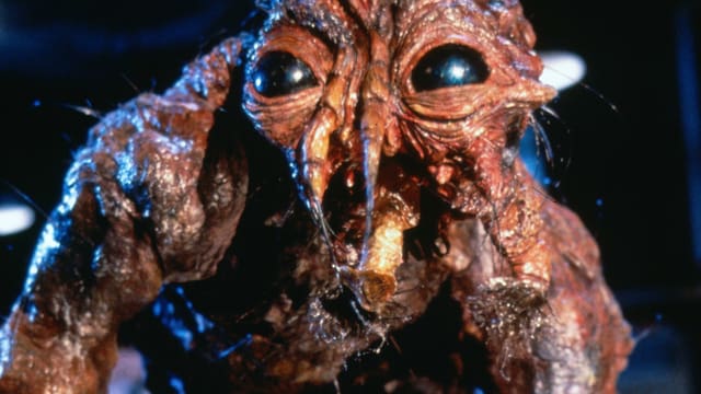 Insektenariges Monster Insektenariges Monster