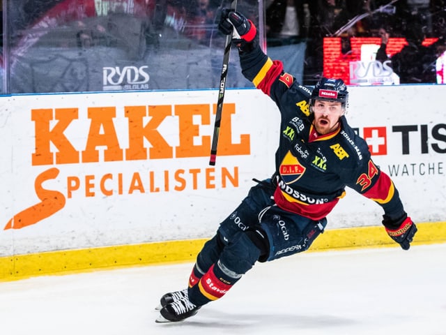 Eishockey-Spieler jubelt. Eishockey-Spieler jubelt.