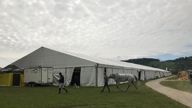 Das grosse Zelt des CSIO Das grosse Zelt des CSIO