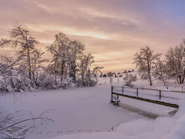 Weiher mit Neuschnee bei sanftem Dämmerungslicht