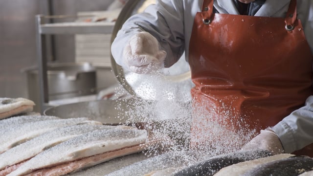 Salz wird gestreut auf Fische Salz wird gestreut auf Fische