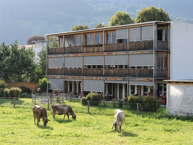 Il center da dimora e d'occupaziun Arche Nova a Landquart. Il center da dimora e d'occupaziun Arche Nova a Landquart.
