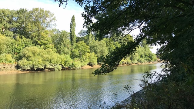 Das Ufer der Themse. Das Ufer der Themse.