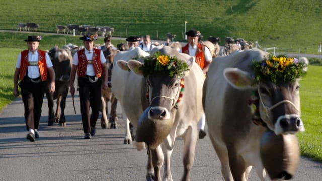Video «Grand Tour der Schweiz: Vom Tessin ins Appenzell (3/3)» abspielen Video «Grand Tour der Schweiz: Vom Tessin ins Appenzell (3/3)» abspielen