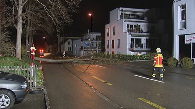 Baum liegt auf Strasse in Frauenfeld. Die Feuerwehr ist am Aufräumen. Baum liegt auf Strasse in Frauenfeld. Die Feuerwehr ist am Aufräumen.