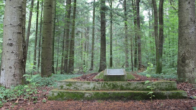 Ein jüdisches Massengrab in einem Wald. Ein jüdisches Massengrab in einem Wald.