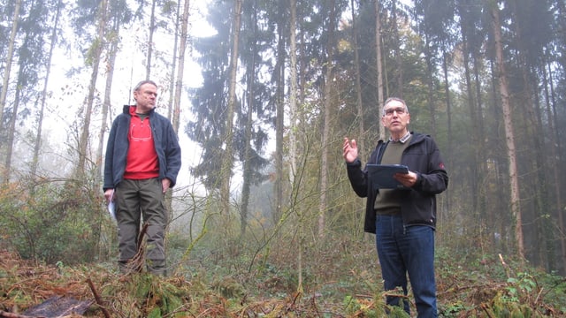Zwei Förster im Wald. Zwei Förster im Wald.