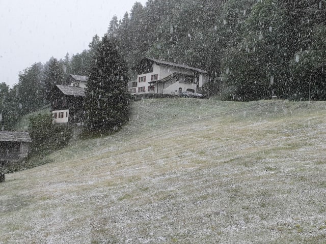 Der Schnee bleibt sogar auf Wiesen liegen.