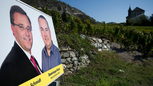 Wahlplakat in einem Rebberg. Wahlplakat in einem Rebberg.