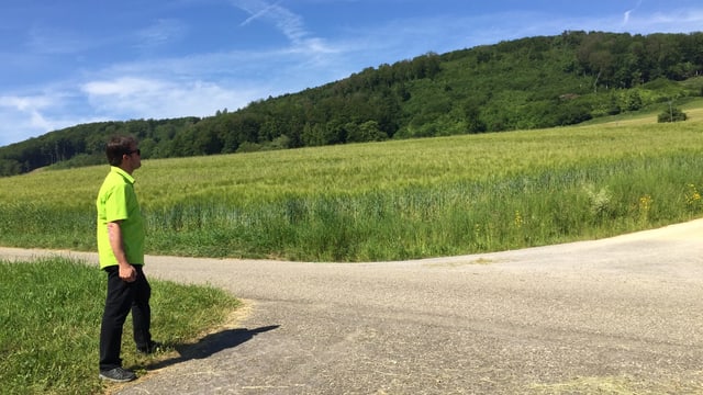 Mann in hellgrünem Hemd auf Feldweg. Mann in hellgrünem Hemd auf Feldweg.