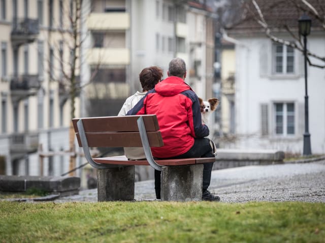 Ein Mann und eine Frau sitzen mit einem Hündchen auf einer Parkbank, die in einem kleinen Park steht. Ein Mann und eine Frau sitzen mit einem Hündchen auf einer Parkbank, die in einem kleinen Park steht.