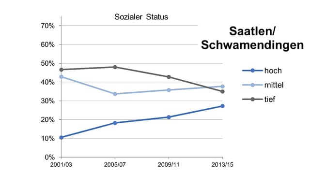 Graphik zum sozialen Status im Zürcher Quartier Schwamendingen. Graphik zum sozialen Status im Zürcher Quartier Schwamendingen.