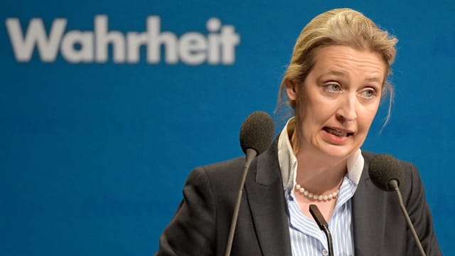 AfD soll Herkunft von Spenden verschleiert haben  (Artikel enthält Video)
