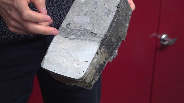 Sedimentprobe mit dunkler Schicht, die viel organisches Material enthält Sedimentprobe mit dunkler Schicht, die viel organisches Material enthält