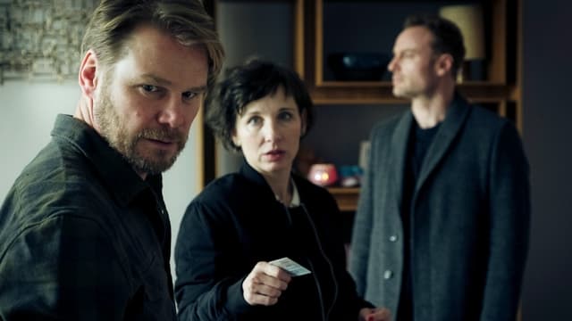 Video «Tiere der Grossstadt» abspielen Video «Tiere der Grossstadt» abspielen