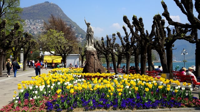 In Lugano hielt der Sommer Einzug. Blühende Blumenbeete. In Lugano hielt der Sommer Einzug. Blühende Blumenbeete.