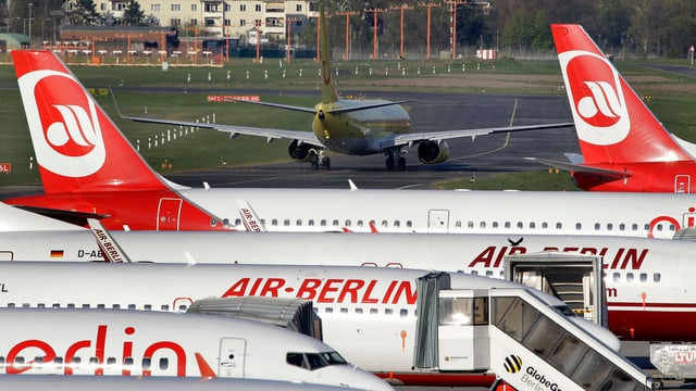 Mehrere Flugzeuge der Air Berlin stehen auf einem Flughafen nebeneinander. Mehrere Flugzeuge der Air Berlin stehen auf einem Flughafen nebeneinander.
