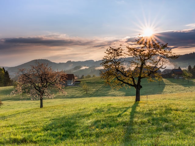 Sonne und Nebelfelder